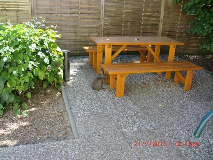 Pension Am Haffeld Wißmar Extérieur photo